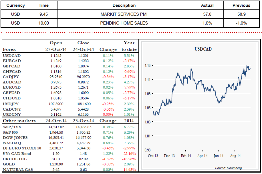 MARKIT SERVICES PMI