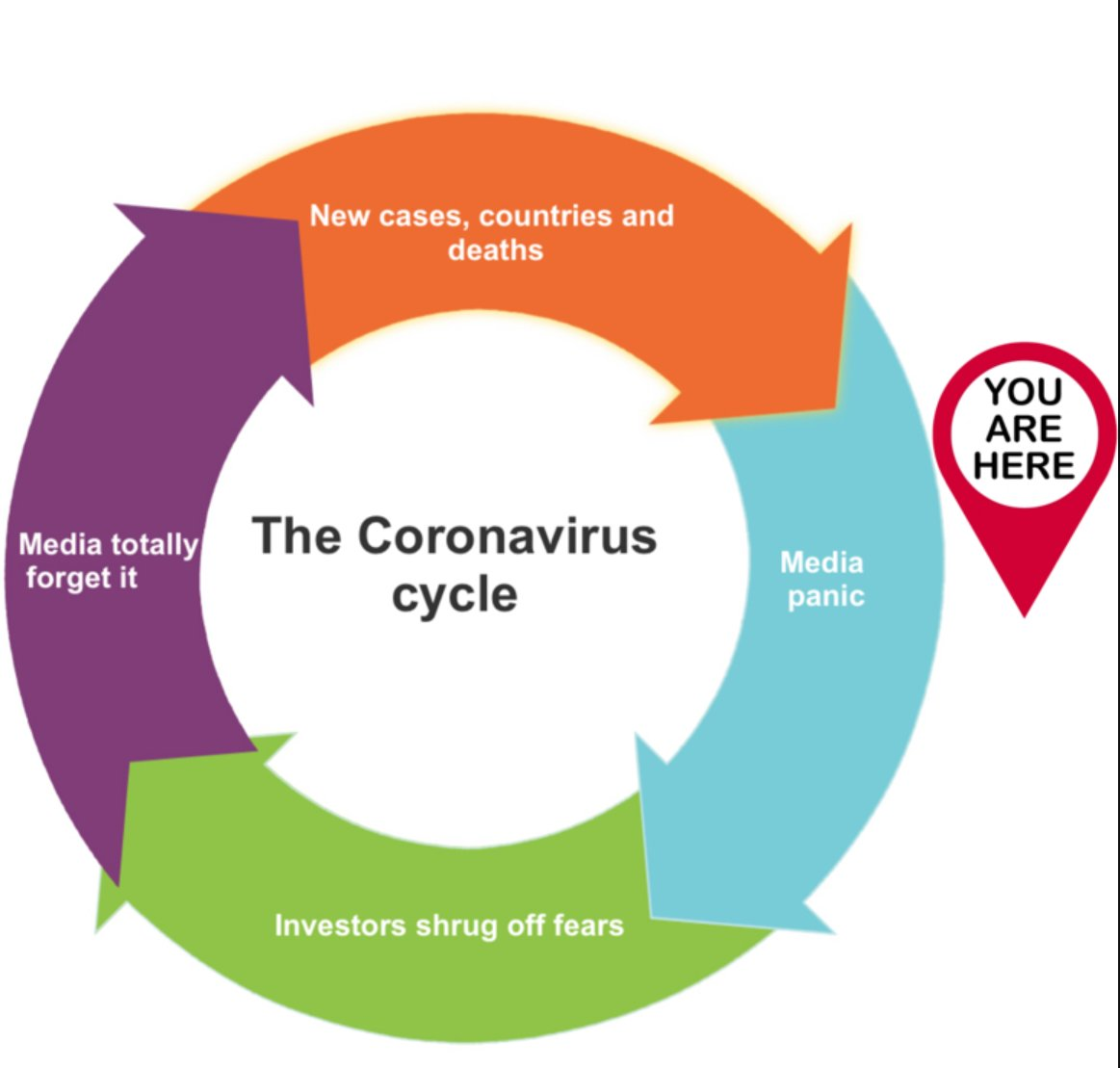 Coronavirus Cycle