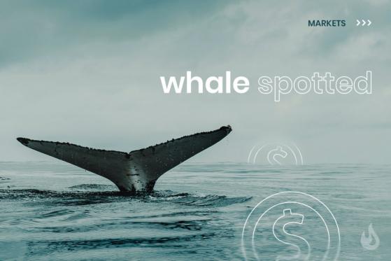 Whale Spotted: How Whales Determine the Crypto Market Price