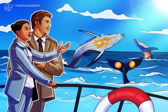 Cointelegraph Consulting: BTC whales buying big as retail goes bullish