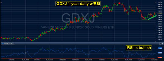 GDXJ 1-Year Daily Chart