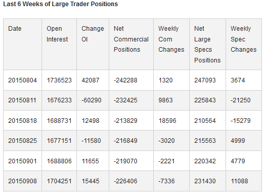 Large Trader Positions