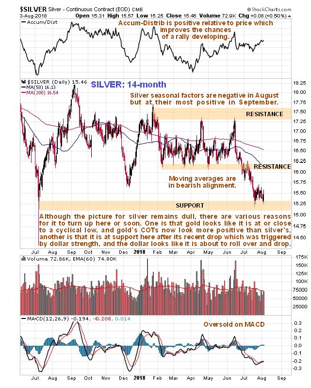 14-Month Silver