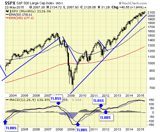 S&P 500 Large Cap Index Monthly Chart