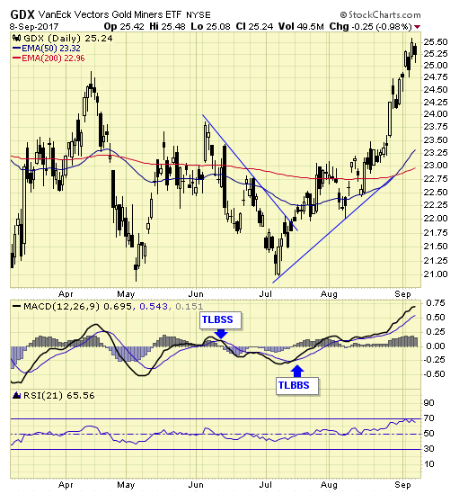 GDX Daily Chart