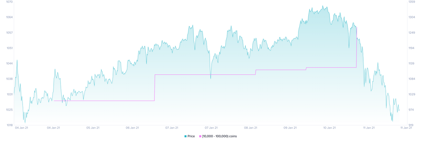 Ethereum Holders Distribution