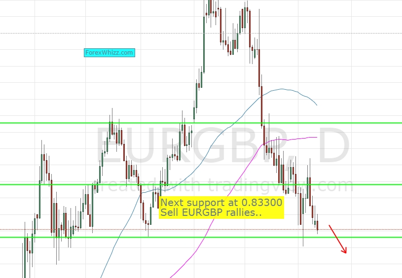 EUR/GBP Daily Chart