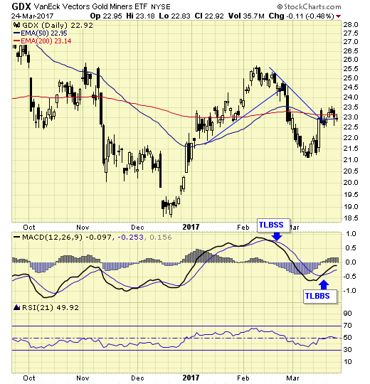 GDX Daily Chart