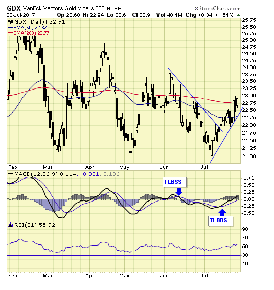 GDX Daily Chart