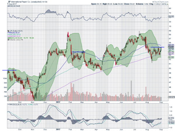 IP Daily Chart