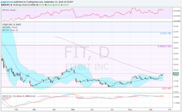 FIT Daily Chart