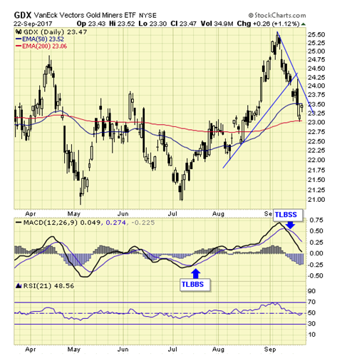 GDX Daily Chart