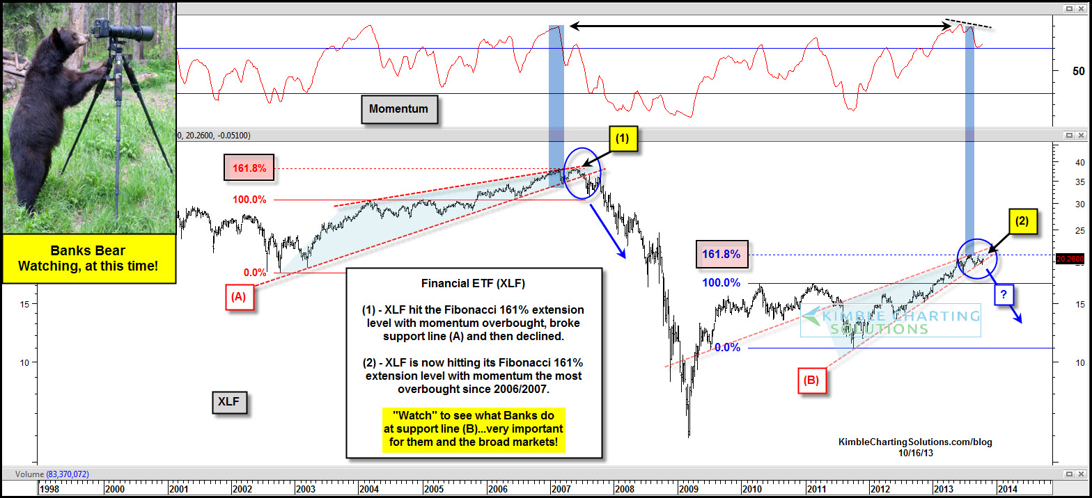 Bears in the Market