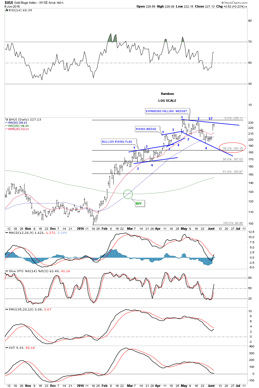 HUI Daily with Expanding Falling Wedge