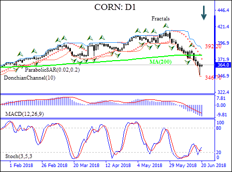 Corn Daily Chart