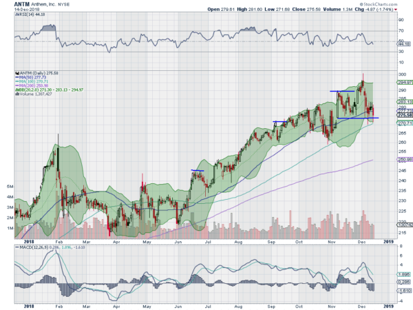 ANTM Daily Chart