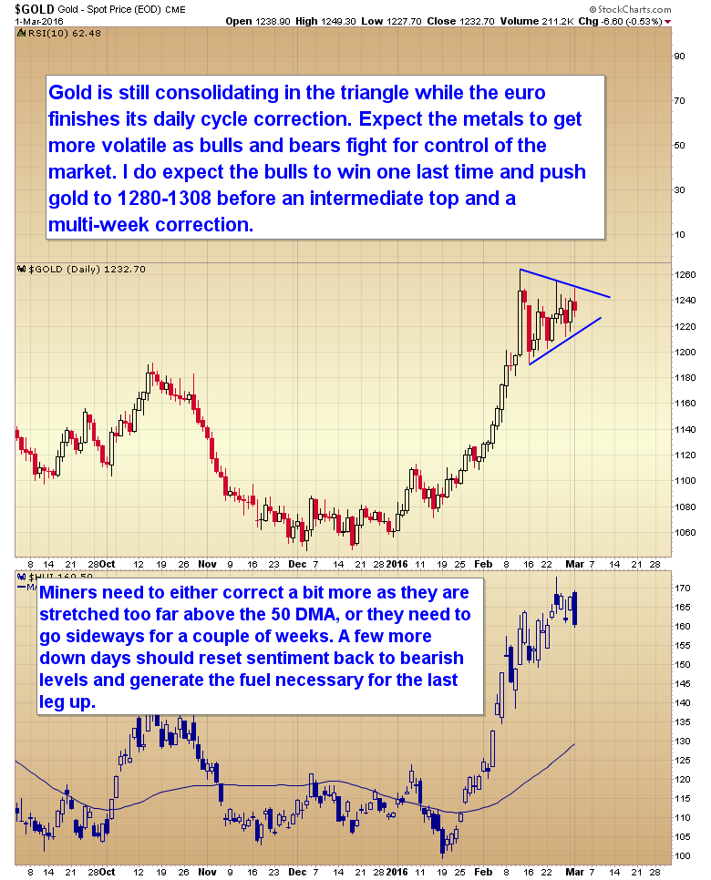 Gold:HUI Daily