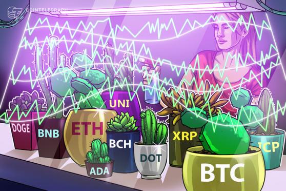 Price analysis 6/7: BTC, ETH, BNB, ADA, DOGE, XRP, DOT, UNI, ICP, BCH