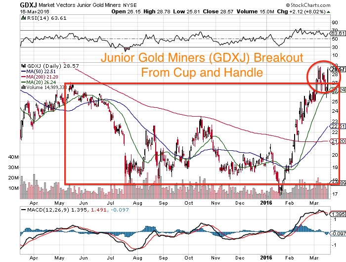 GDXJ Daily Chart