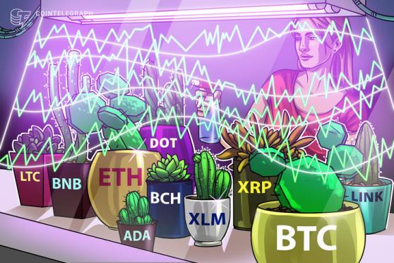 Price analysis 2/1: BTC, ETH, XRP, DOT, ADA, LINK, LTC, BCH, BNB, XLM