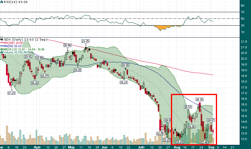 GDX Starts 3-Week Rally