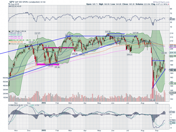 SPY Daily Chart