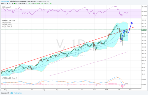 Visa Daily Chart