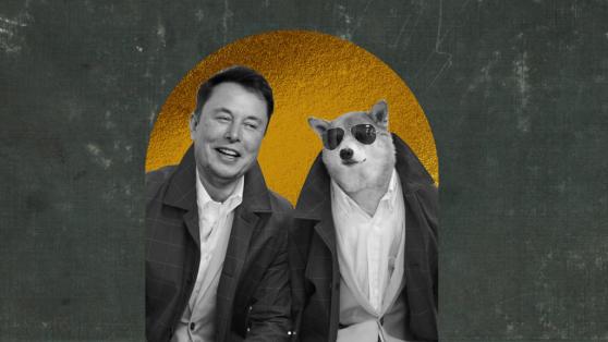 DOGE is back in game! Does the credit go to Coinbase and Elon Musk again?