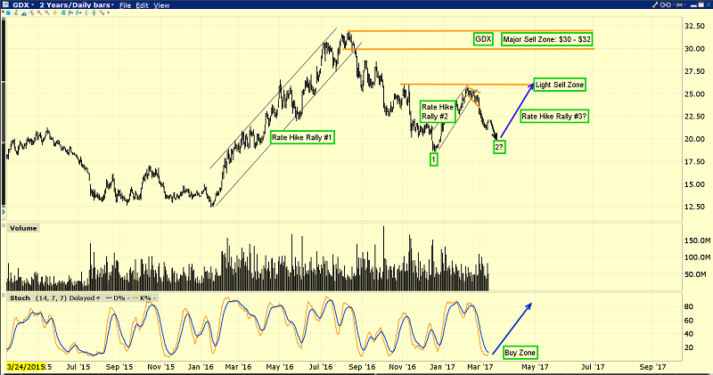 2-Year Gold Miners