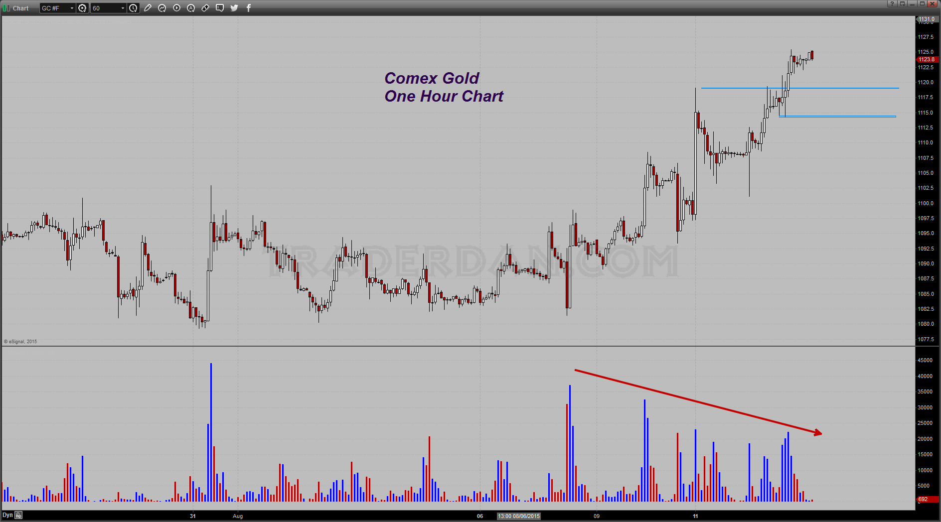 Gold 1-H Chart