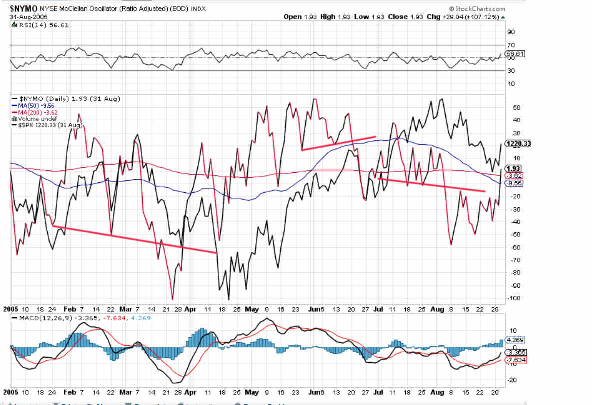 NYMO Daily Chart