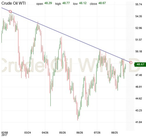 Daily Crude Oil