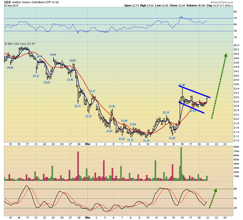 Short-Term VanEck Vectors Gold Miners