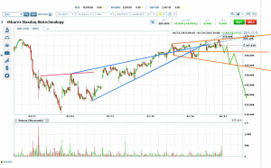 IBB has Reached its Inverse H&S Target