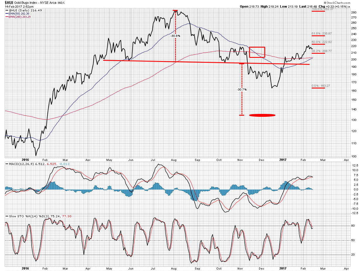 HUI Daily