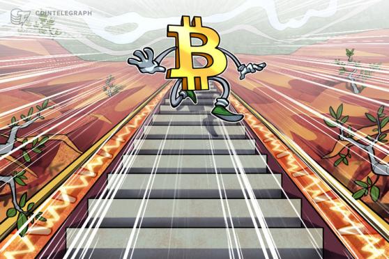 2 Bitcoin price indicators suggest BTC has not bottomed yet