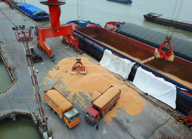 © Bloomberg. Workers load imported soybeans onto trucks at a port in Nantong in China's eastern Jiangsu province. Photographer: -/AFP/Getty Images