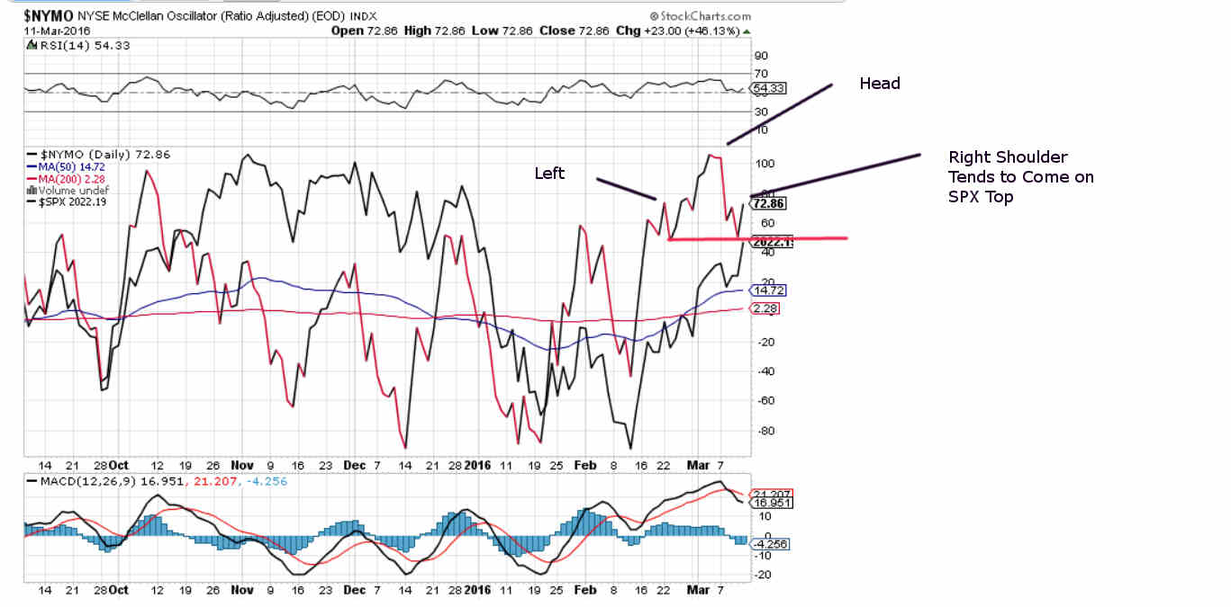 NYMO Daily Chart