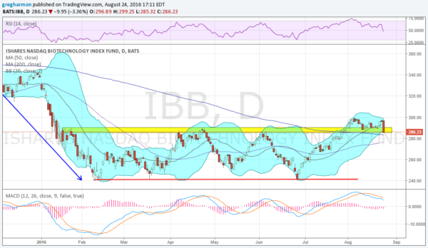 IBB Daily Chart