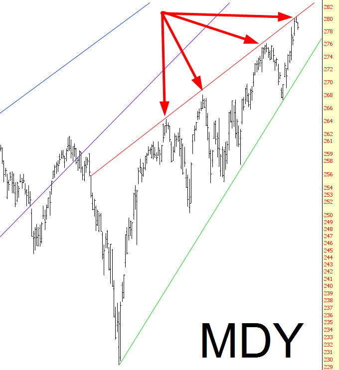 MDY Overview