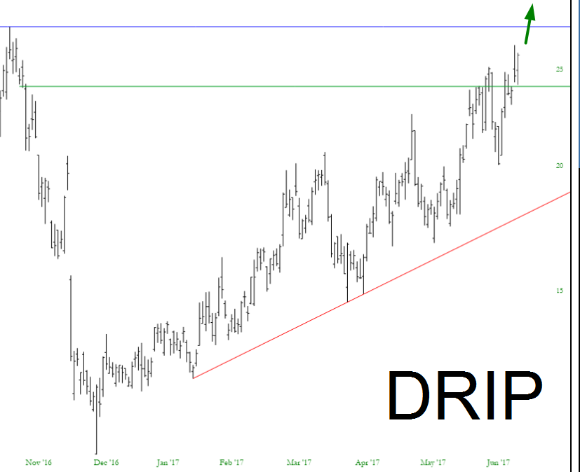 Direxion Daily S&P Oil & Gas