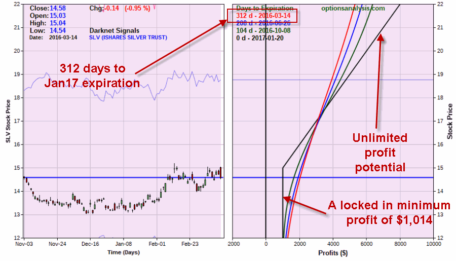 Adjusted SLV Option Trade