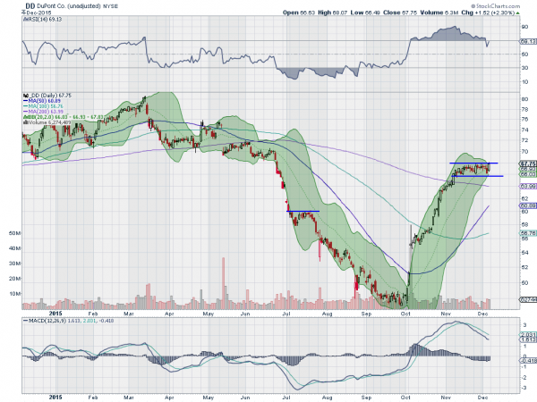 DD Daily Chart