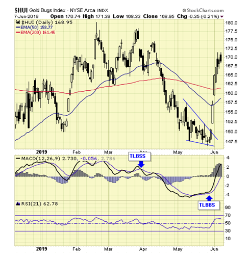 HUI Daily Chart