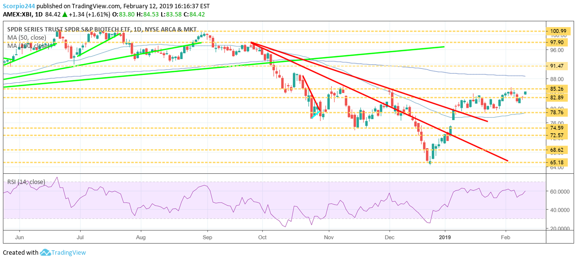 biotech, xbi