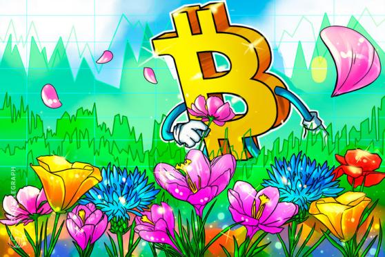 Bitcoin must cost 10X more with 10X less utility to match tulip mania — Investor
