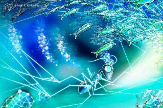 UN Paves Path for Sustainability in Seafood Industry Using Blockchain