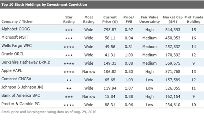 Top 10 Stock Holdings by Investment Conviction
