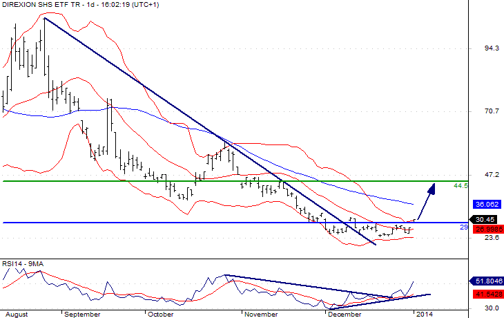 Direxion Daily ETF Chart