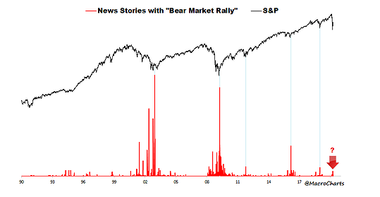 Bear Market Rally